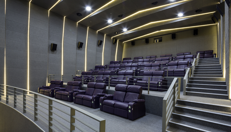 Multiplex-3